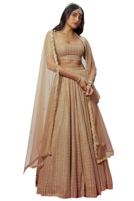 Women's Embroidered Work Georgette Fabric Chaniya Choli with Dupatta Semi Stitched (Brown_Semi Stitched).